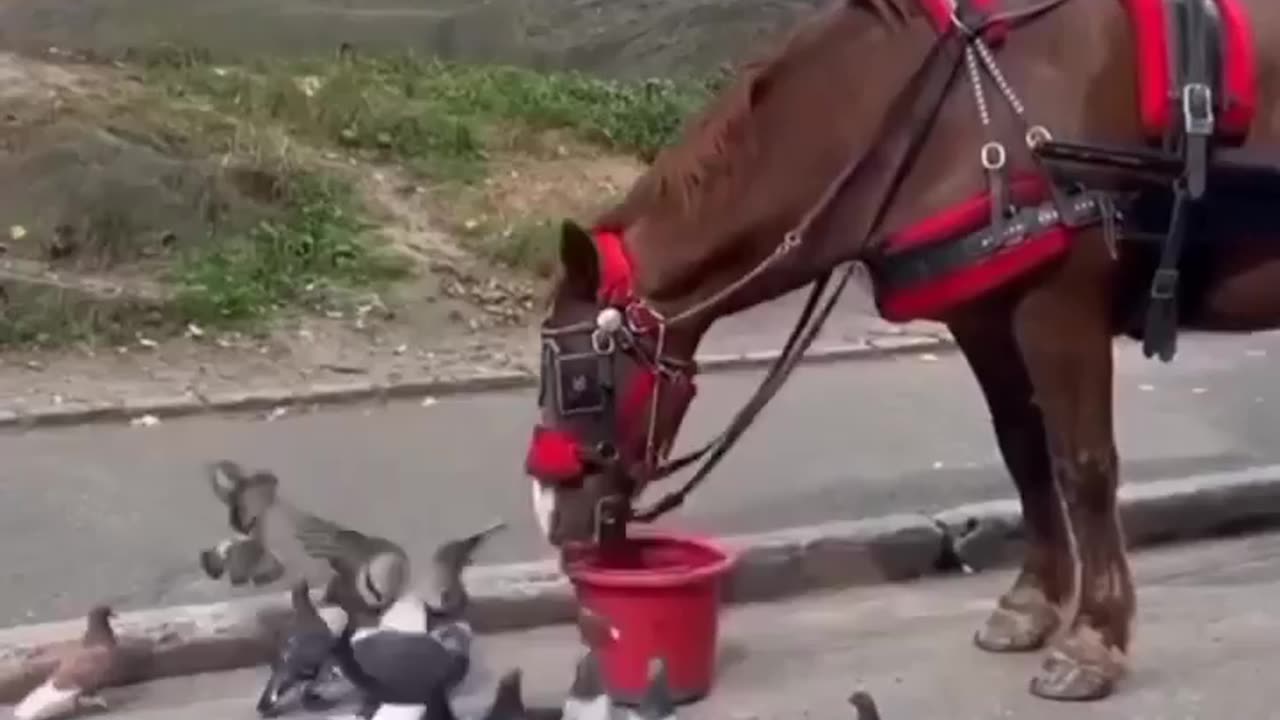 Far Better Than Some Humans !!!