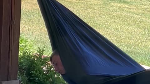 Sleeping Son Drools In Swinging Hammock