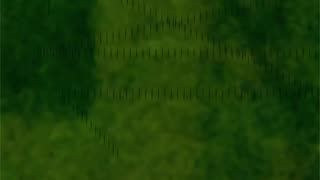 WAV - Dry Old Electronics