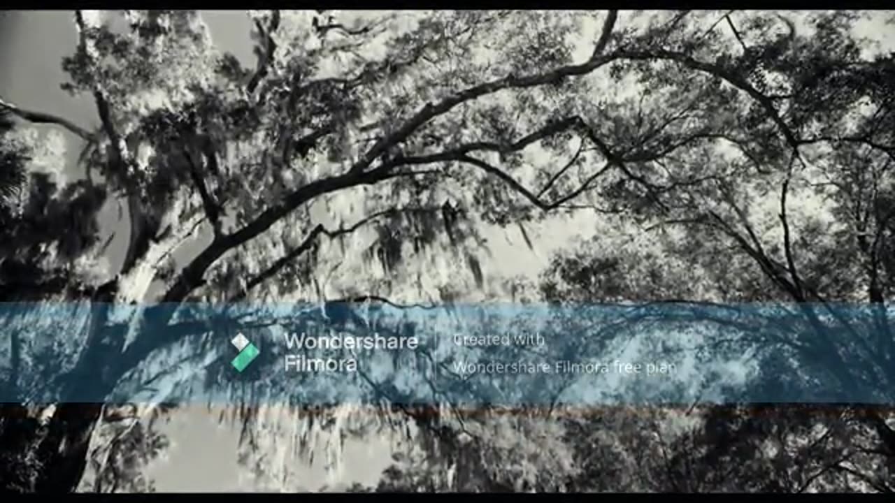 Halloween Bad Blood Part 1