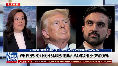 Stefanik: Hochul Bent the Knee to Mamdani’s Pro-Illegal, Pro-Criminal Socialist Party