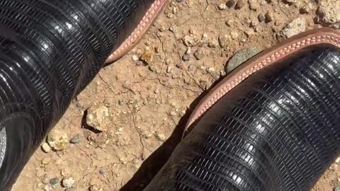 💥😲 You Won't Believe Men Wearing Open-Toed Shoes in Public! | FunFM