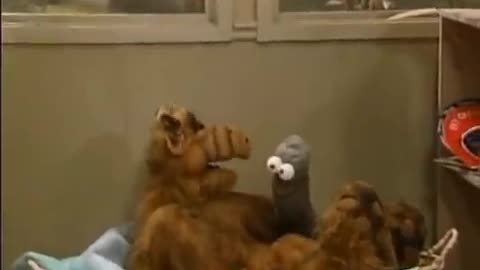 ALF – S1E6 “For Your Eyes Only” (1986) | Classic 80s Sitcom