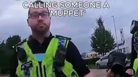 Apparently its illegal in the UK to call someone a Muppet