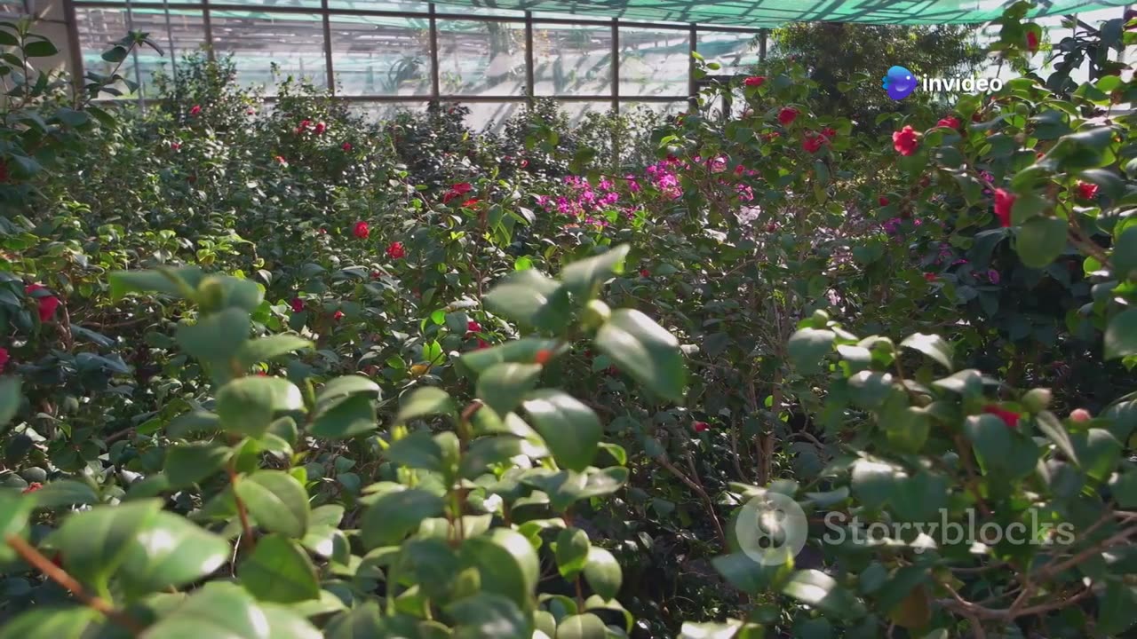 From Farmers To Your Plate