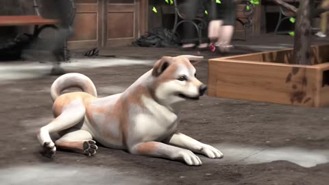Dog Waited Ten Years For His Owner 😢