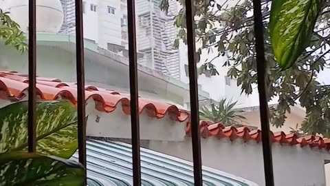 Primera lluvia del mes de Mayo.. /First rain of May