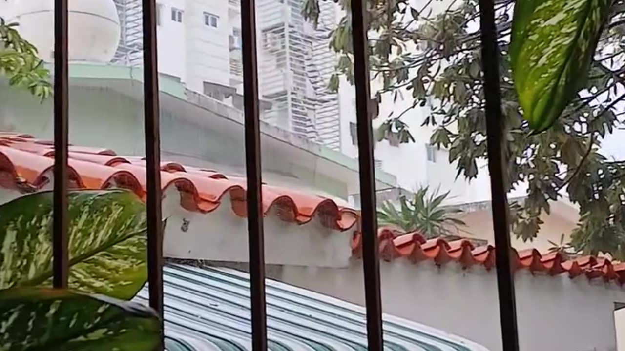 Primera lluvia del mes de Mayo.. /First rain of May