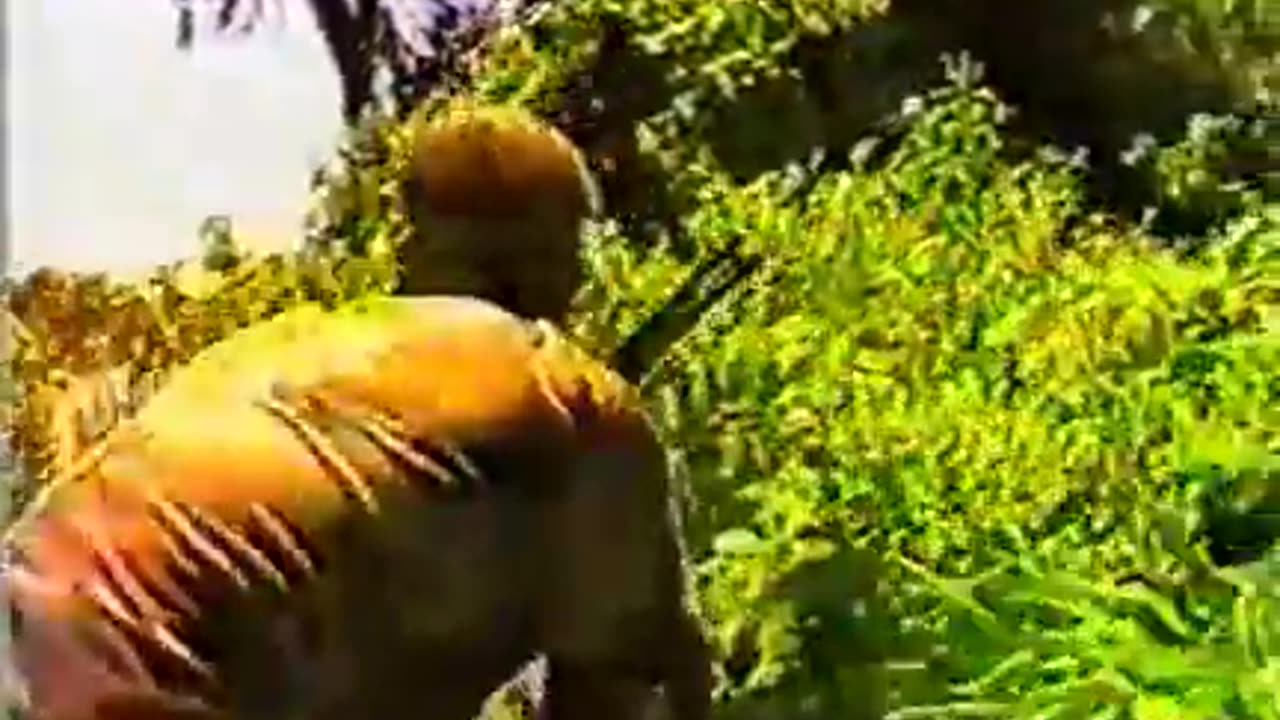 Grandmaster Robert Bussey