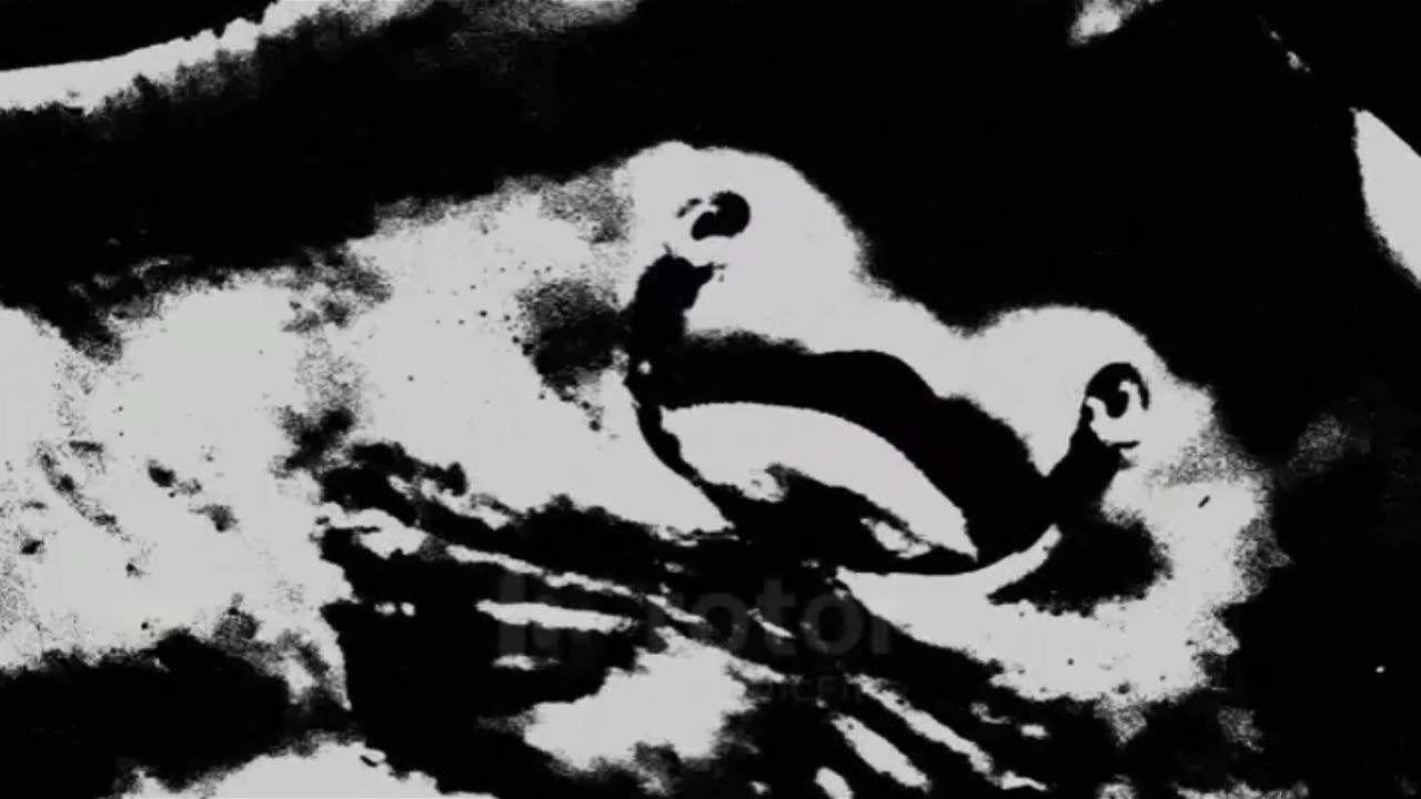 imaNdroid-I Have Fallen-(Alone Unto Death)
