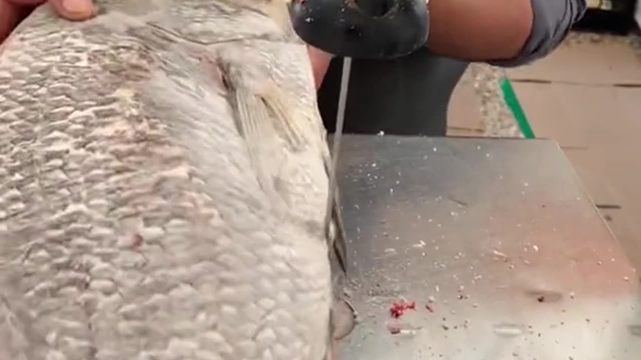 Fish cutting video
