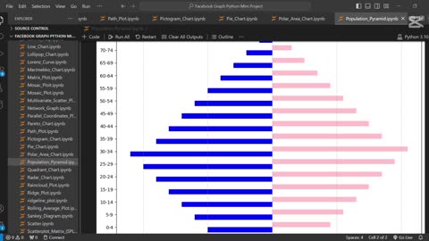 👥 Create Population Pyramid Chart Using Python