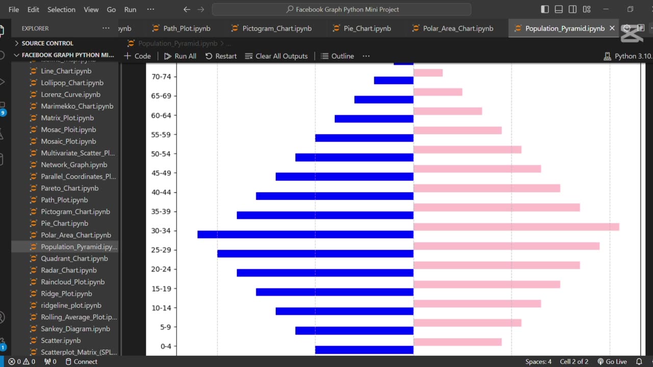 👥 Create Population Pyramid Chart Using Python