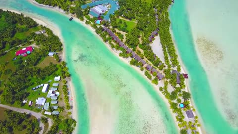 Timeless Focus: Baroque to Modern