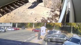 All of you illegal aliens in Charlotte can run, but no Juan can hide.