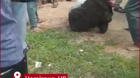 Youth Beaten With Slippers in Public for ‘Roaming’ With Girlfriend, Video Sparks Anger