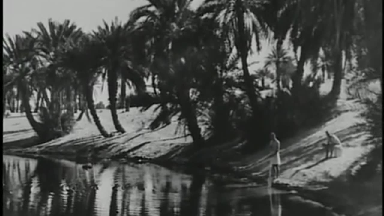 Gladiators of World War II - SAS [E3 13]