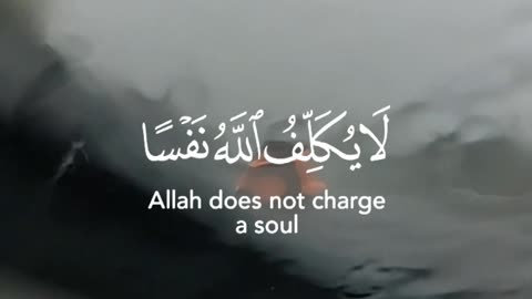 🔥Surah At Talaq 65:6 سورة الطلاق 🤝💔🏠 #quran #shor #love #viral #trending #youtubeshorts #viralvideo