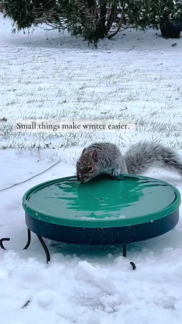 Winter watering bowl