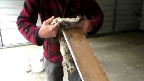 Tanning A Opossum Hide