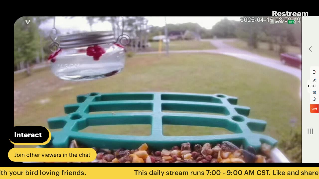 Bird Feeder Live 4-15