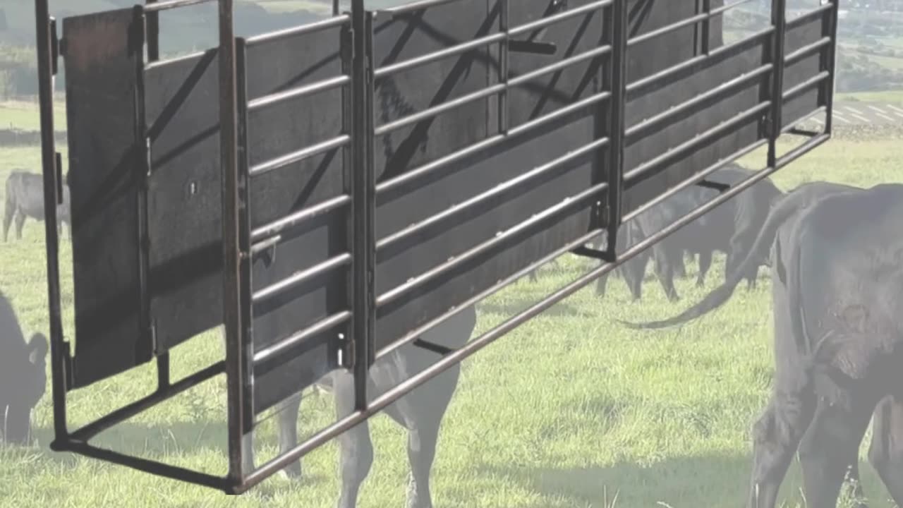 American-Made Adjustable Alleyway