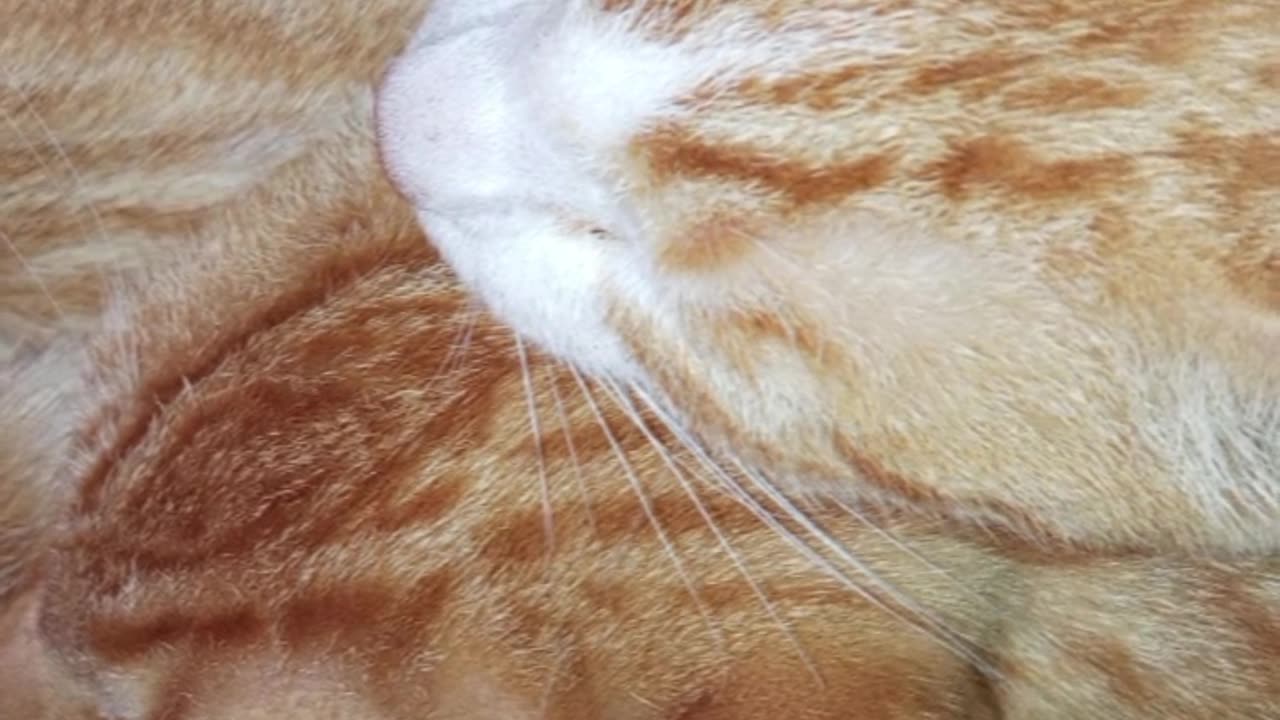 La imaginación me jugó un juego exitoso