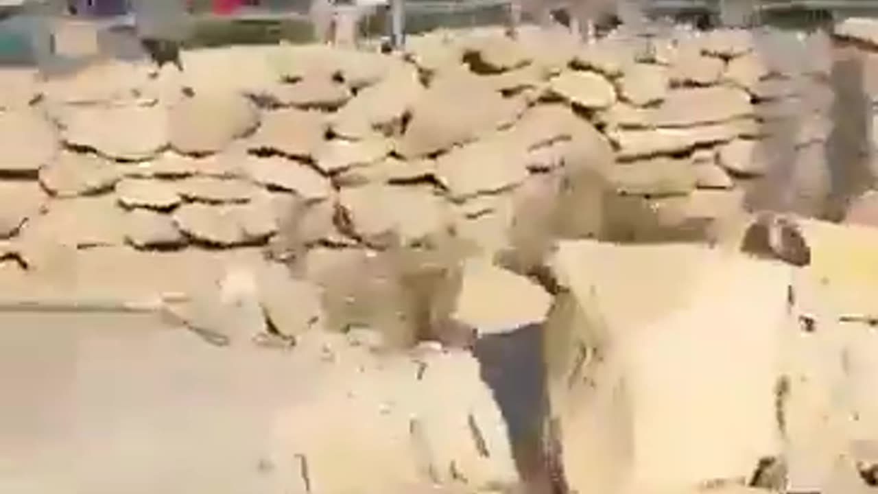 The killing of Palestinian activist Awdah Hathaleen by Yinon Levi in West Bank