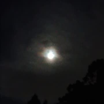 THE MOON 08.08.2025 AUCKLAND NEWZEALAND