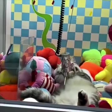 Catch me if you can.. 😅