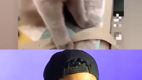 Trynottolaugh challenge part 22