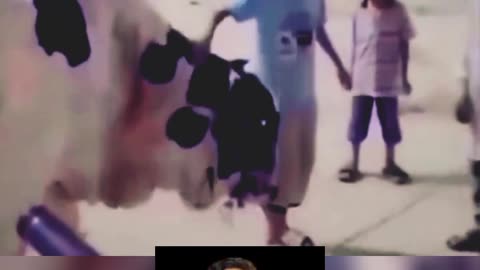 Fanny video
