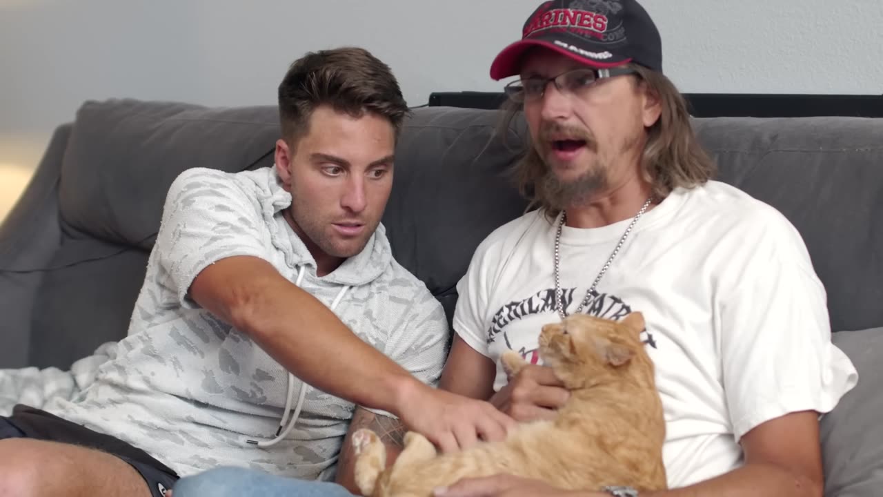 10 Things a Cat Will NEVER Forgive
