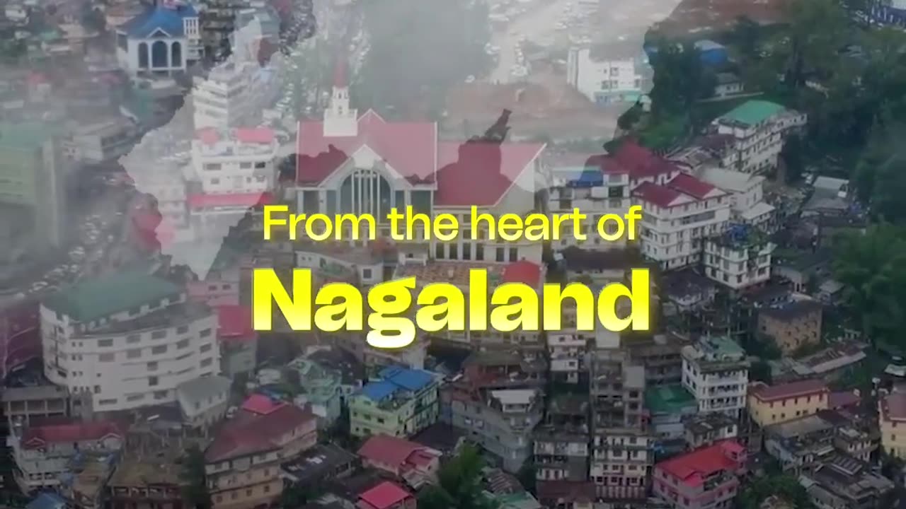 From Nagaland to the World 🌏 _ Admissify × NEIMUN 2025