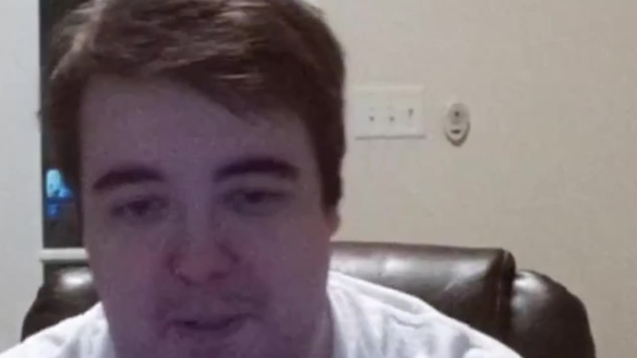 Streamer creates AI Parrot