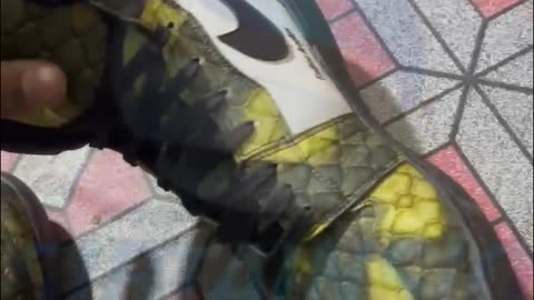Custom PREMIUM Cordura Shoes | Snake Printed Sneakers 👟