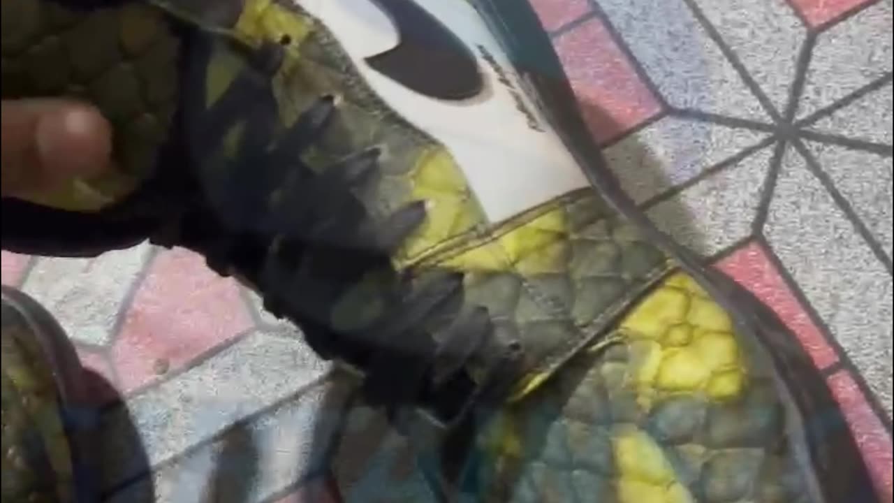 Custom PREMIUM Cordura Shoes | Snake Printed Sneakers 👟