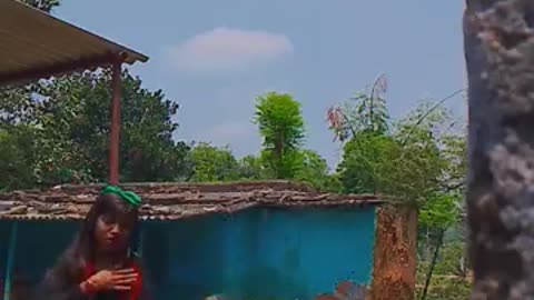 Lal pari