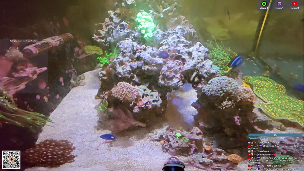 24/7 Real Live Reef Stream