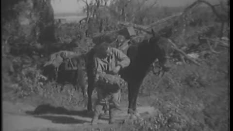 2ND SQUADRON, 124TH... - 2ND SQUADRON, 124TH CAV. REGIMENT (SPECIAL), CAMP LANDIS, BU - 111-adc-2956
