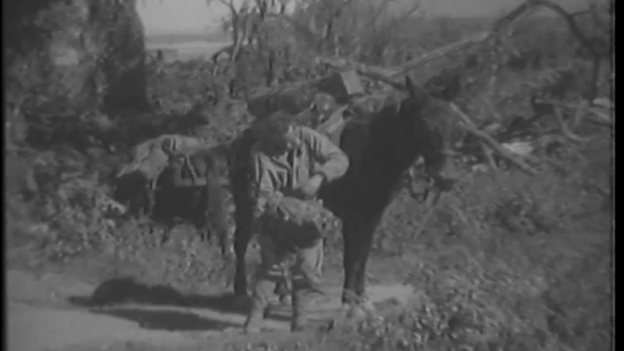 2ND SQUADRON, 124TH... - 2ND SQUADRON, 124TH CAV. REGIMENT (SPECIAL), CAMP LANDIS, BU - 111-adc-2956