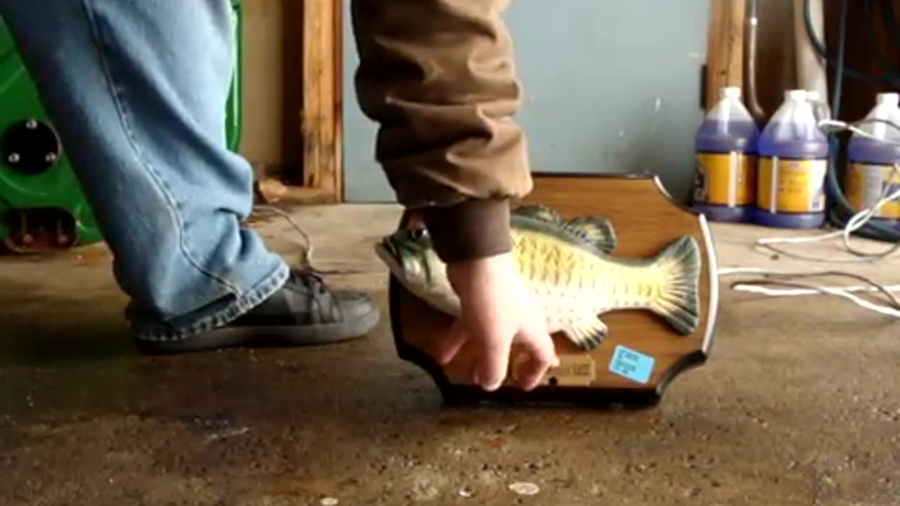 Swearing warning!! Big mouth billy bass smashed