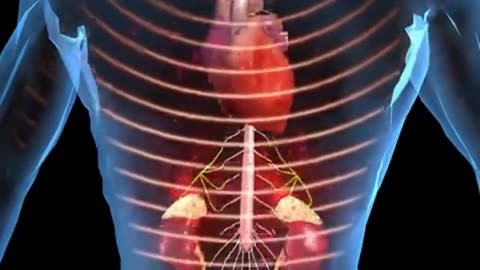 Adrenaline Unleashed: 15 Mind-Blowing Facts About Your Body's Ultimate Superfuel! 💥🧠