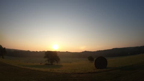 Sun ☀ Rise 8 3 25 53f/13c