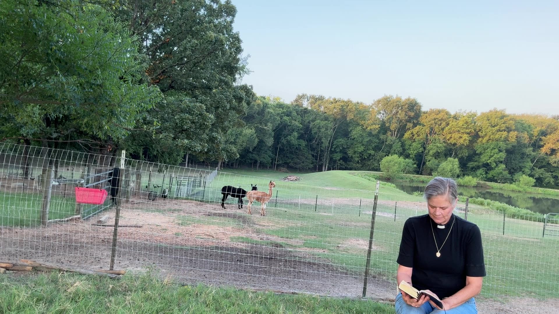 morning prayer, Daily office