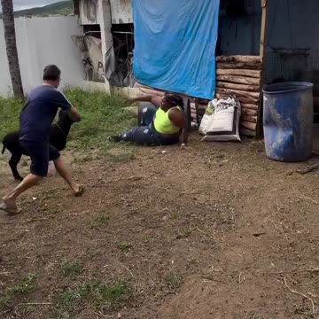 Here is a KKK goat. It hates fat back people.