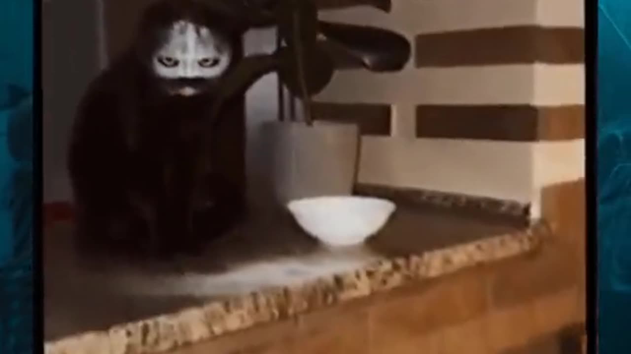 😨👁️ Almost Thought... What Is That? Shadowy Figure Revealed! | TheHauntingHour