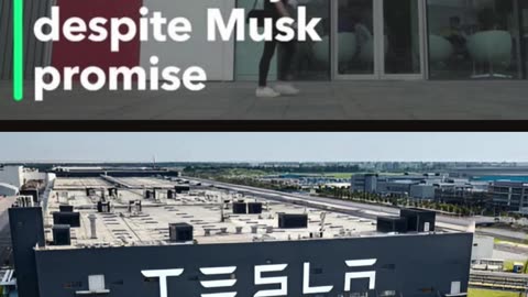 Tesla’s Sudden Contract Termination Leads to Nearly 100 Job Losses