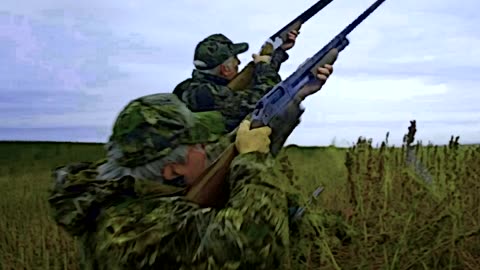 Aim High - Dead Rockstar