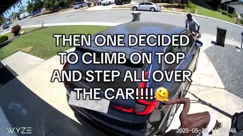 When this happens, list your house and move.